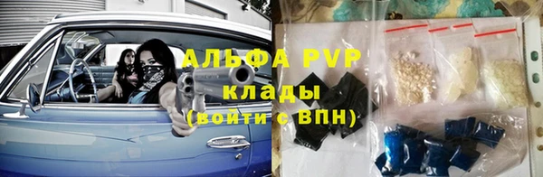 индика Арсеньев
