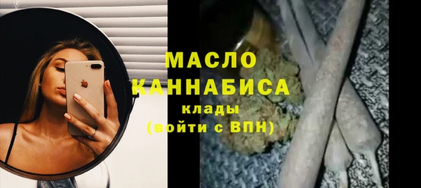 индика Арсеньев