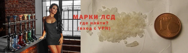 индика Арсеньев