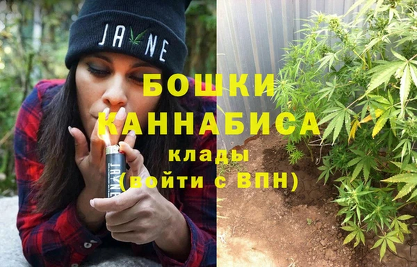 индика Арсеньев