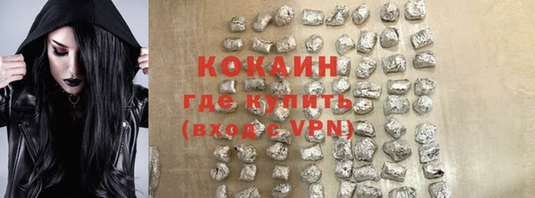 индика Арсеньев