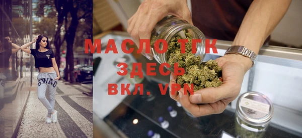 индика Арсеньев
